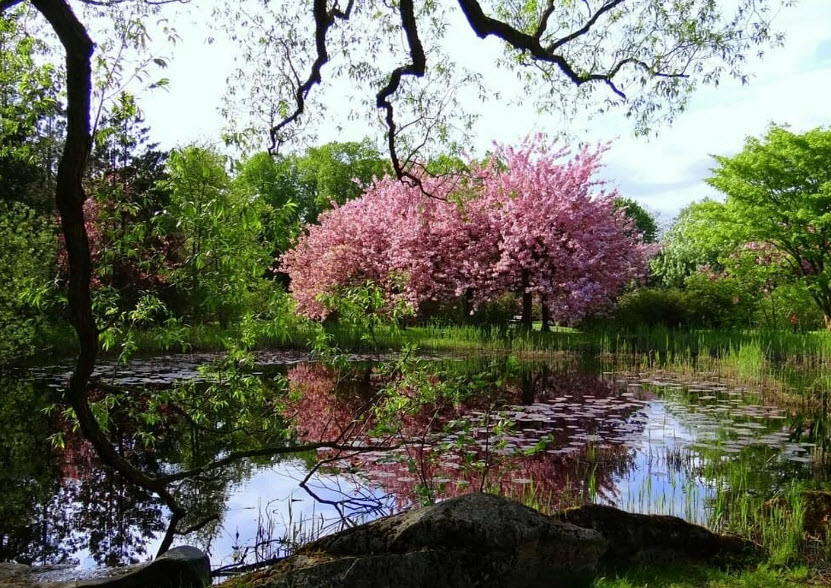 Botanical garden in Łódź, Łódź, Poland, Poland